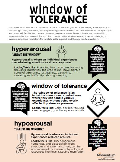 Window of Tolerance worksheet
